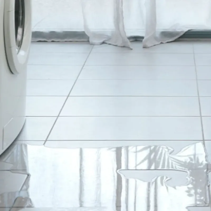 Appliance Leak Cleanup in Clay County, MO