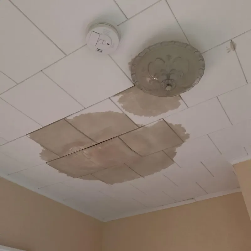 Ceiling Water Damage Repair in Clay County, MO