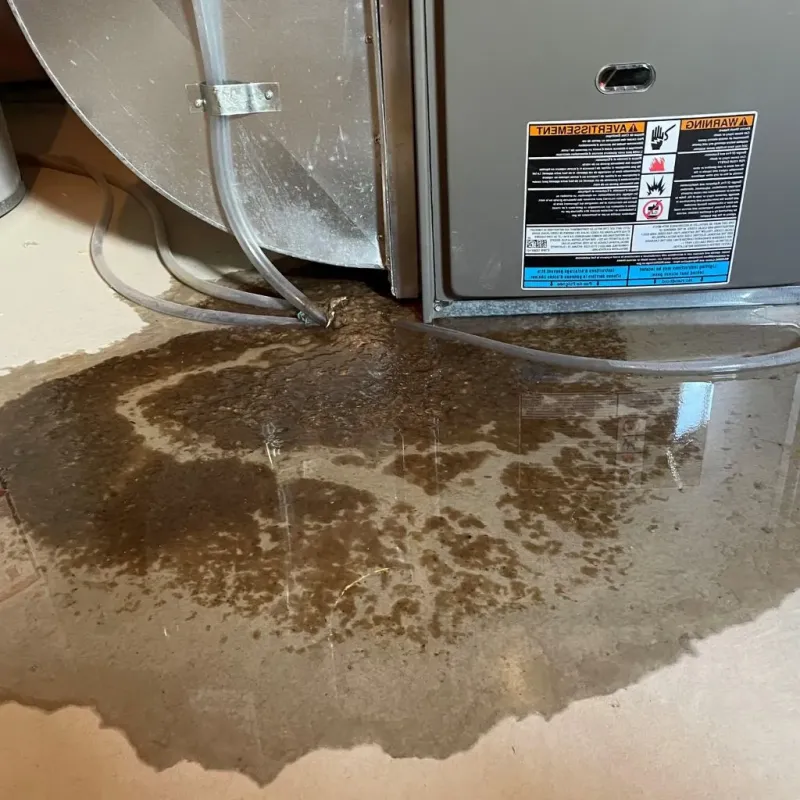 Pipe Burst and Leak Restoration in Clay County, MO