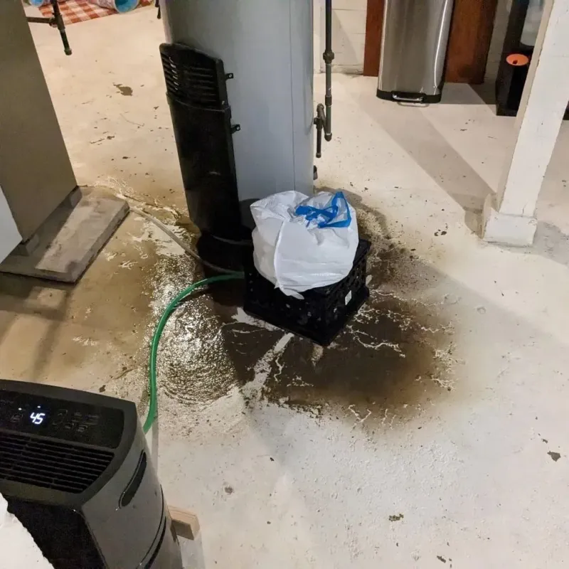 Sewage Backup Cleanup Service in Clay County, MO